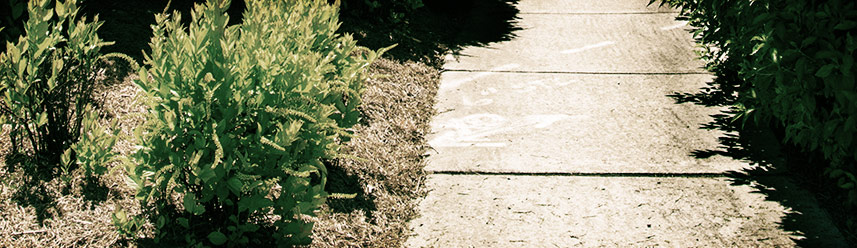 在线呼死你轰炸